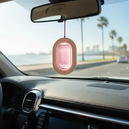 AER Car (Automóvil) – Sachet x7,5 g